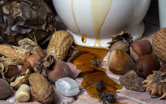 蜂蜜放了10年還能吃嗎？取決于蜂蜜是否變質(zhì)，變質(zhì)的蜂蜜不能吃！