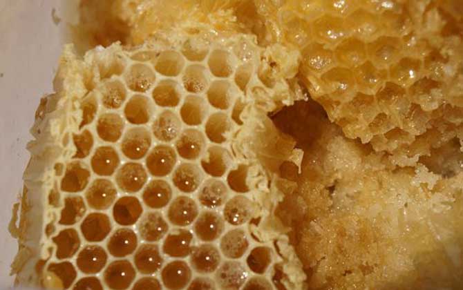 蜂巢蜜一般多少錢一斤？最少都要60元，低于60元可能是假蜂巢蜜！