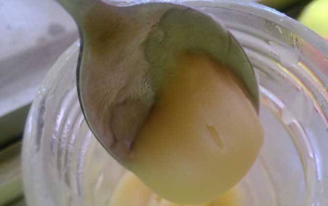 蜂蜜結晶了怎么融化？非常簡單，只需適當提高環境溫度便能融化！