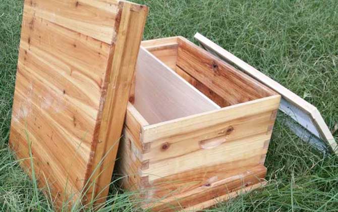 養(yǎng)中蜂工具大全及價(jià)格，使用這些工具，中蜂養(yǎng)殖將事半功倍！