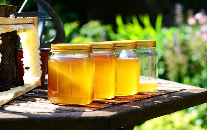 最新蜂蜜價(jià)格表及選購(gòu)方法