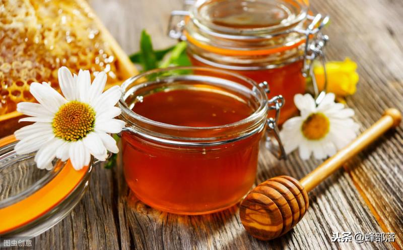 蜜蜂養殖決定你養蜂能不能賺錢