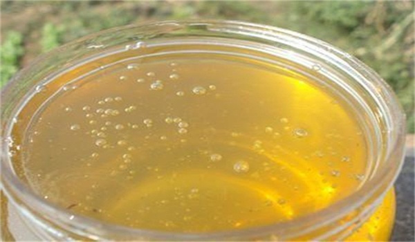 考生夢(mèng)到蜂巢和蜜蜂（考試夢(mèng)見(jiàn)蜜蜂窩和很多蜜蜂預(yù)示著什么）